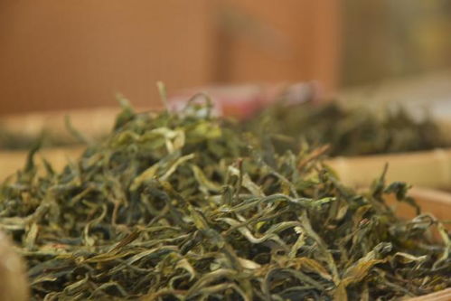 炒作茶叶能发大财？血本无归时悔之晚矣
