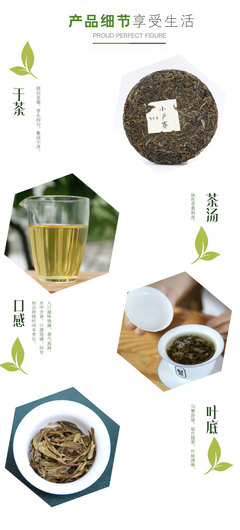 探索智在善秘境 2019小户赛古树单株生普洱茶品鉴记